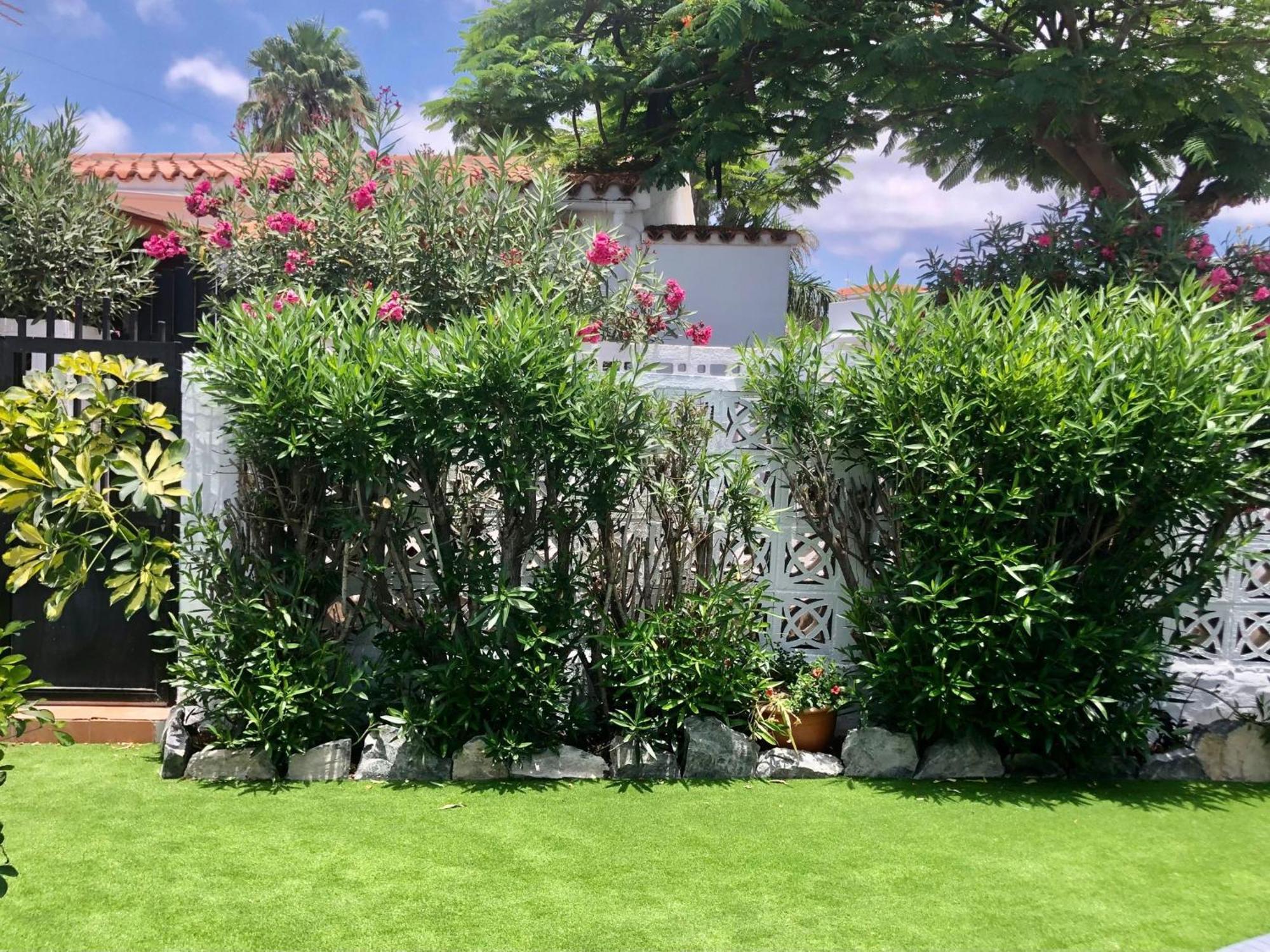 Santa Clara Bungalows Maspalomas  Exterior foto